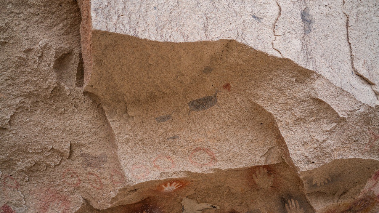 2 Huemul - cueva de las manos - Marzo 2025 - Horacio Barbieri