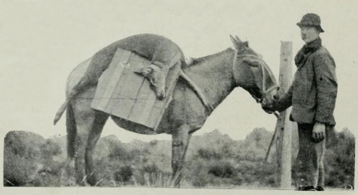 2025-10-22 a las 09.22.45_35eb9ef9