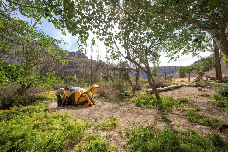 Campamentos Exploradores - Enero 2025 - Parque Patagonia - Horacio Barbieri_-3